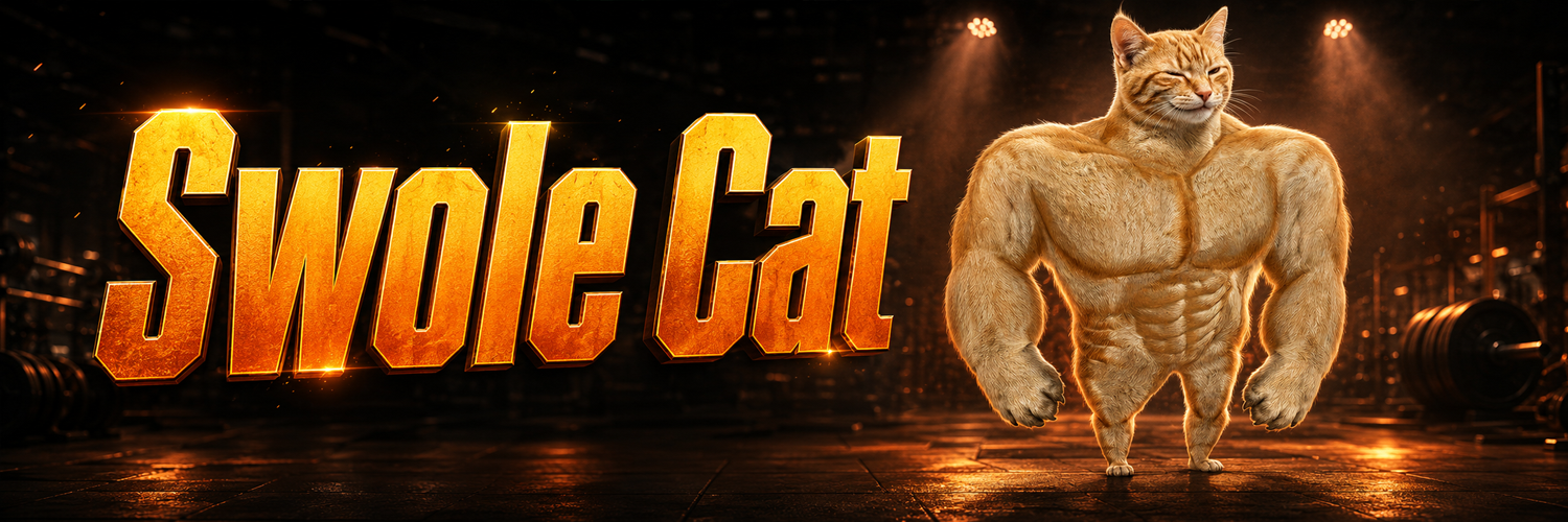 Swole Cat banner